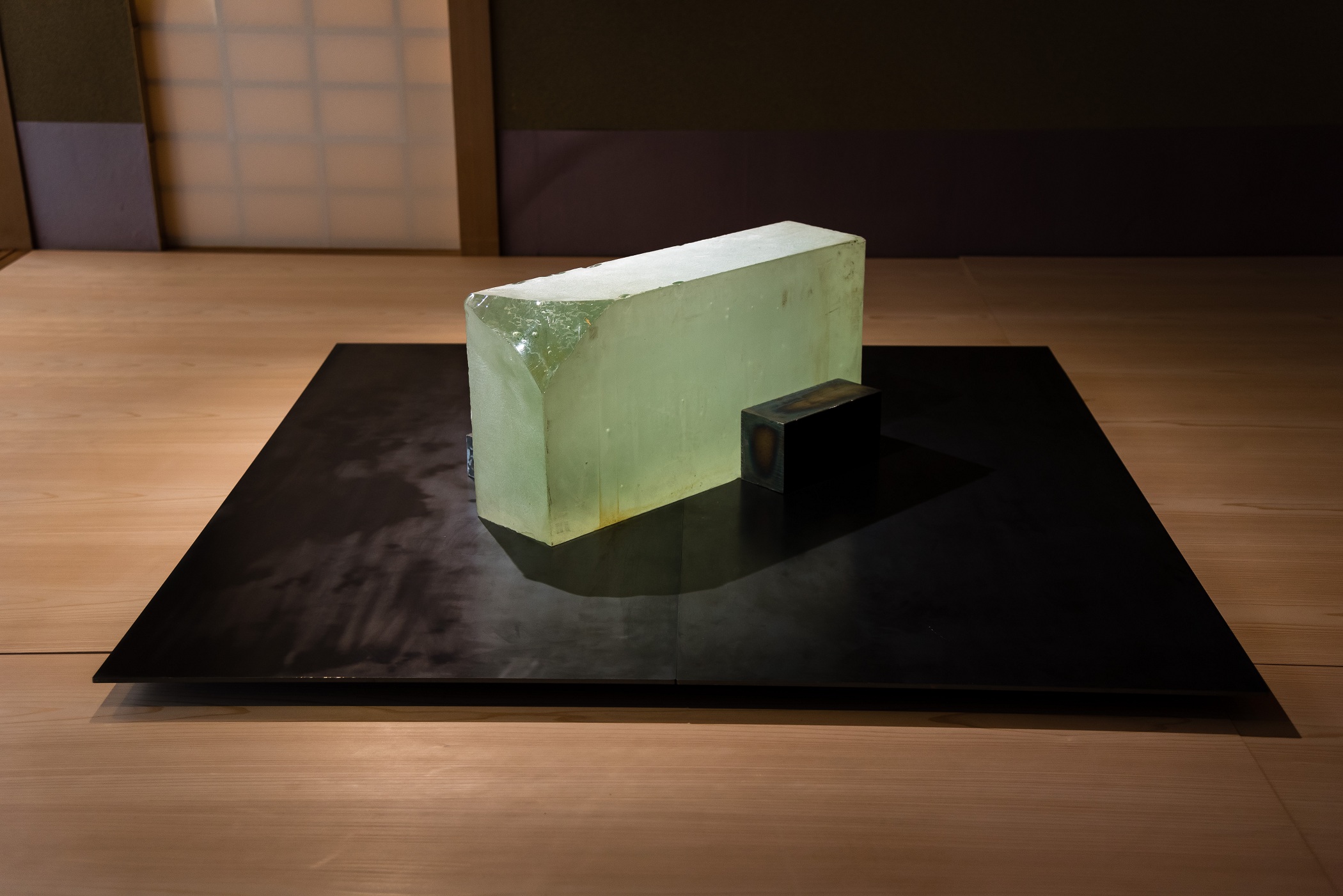 特別展】イワタルリ展 | 北海道立近代美術館